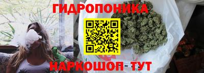 СК Краснодар