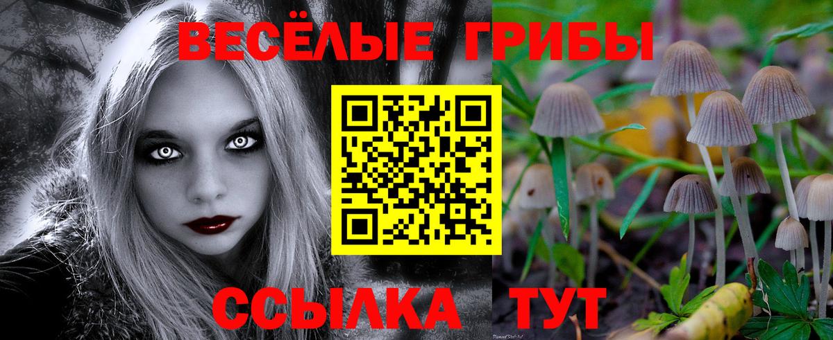 Галлюциногенные грибы мицелий Зерноград